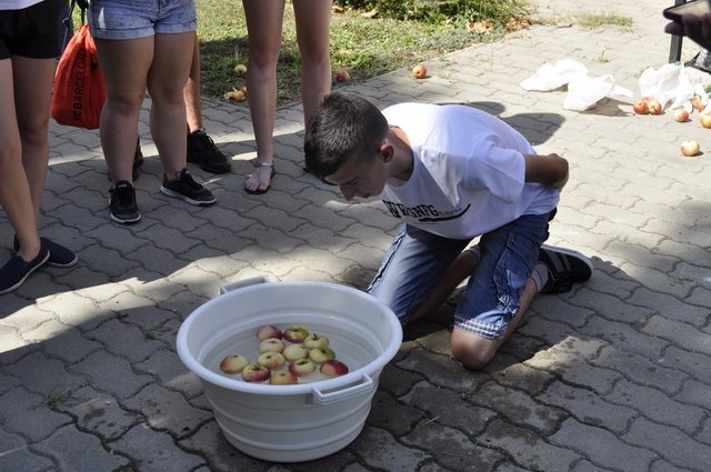 Verébavató az Aranyban 2017 07